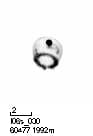 A thumbnail of the file image